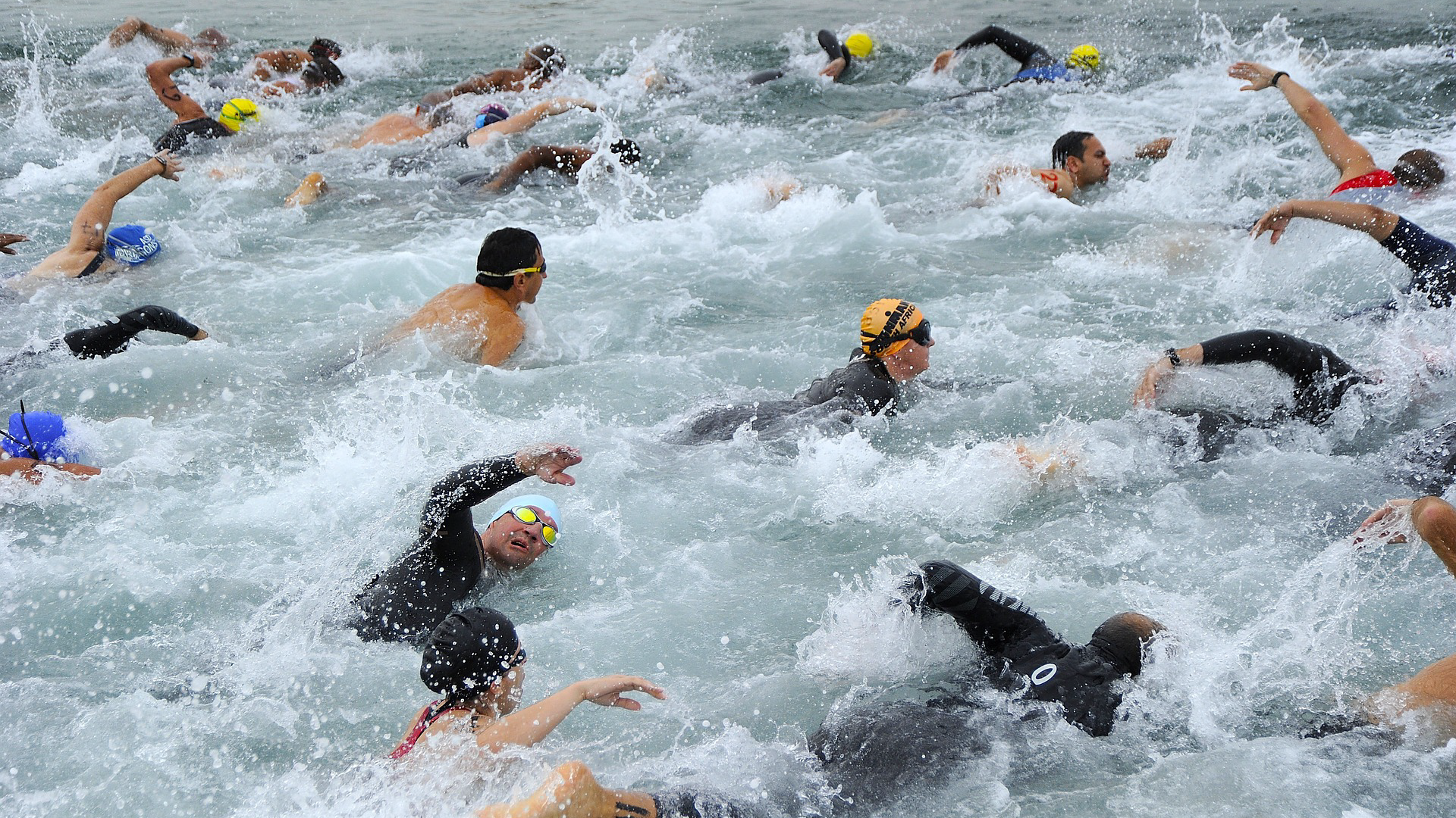 Several people swimming in sea